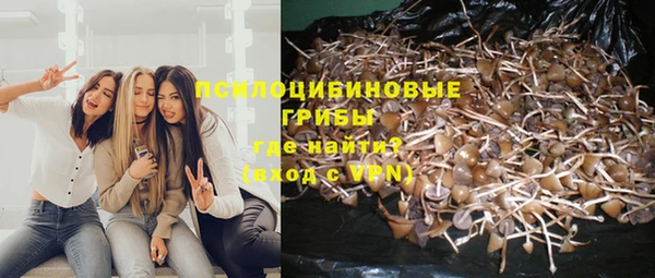 гидропоника Баксан